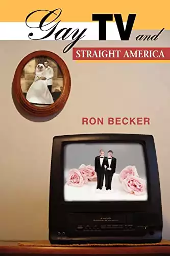 Gay TV and Straight America