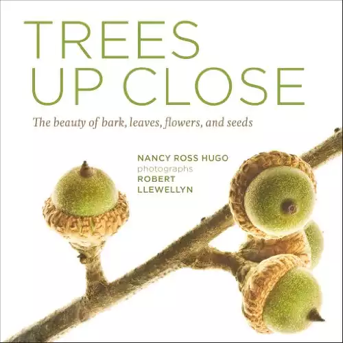 Trees Up Close: The Beauty of Their Bark, Leaves, Flowers, and Seeds (Seeing Series)