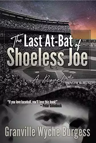 The Last At-Bat of Shoeless Joe: A Novel