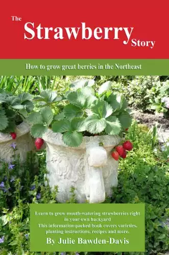 The Strawberry Story: How to grow great berries in the Northeast